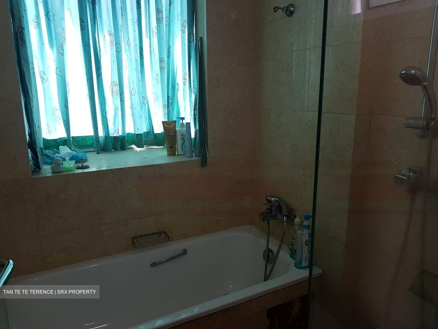 Papillon (D12), Apartment #477954291